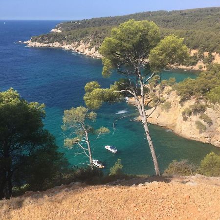 Sanary Sur Mer Appartement 30M2 T2 Avec Terrasse Piscine 10Min A Pied De La Plage Екстер'єр фото